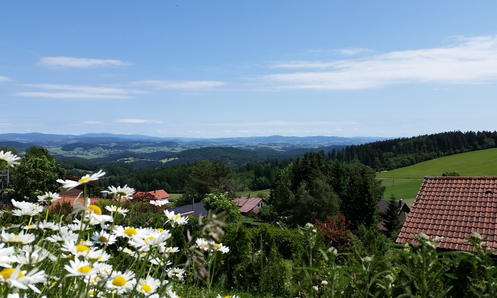Ferienhaus Solla Bayerischer Wald Gartenblick