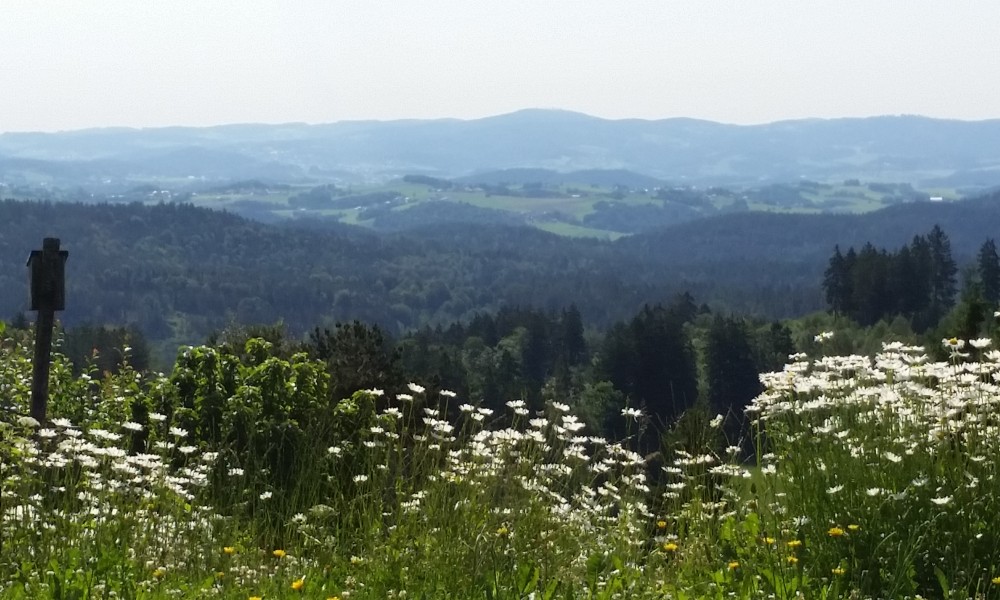 Ferienhaus Solla Bayerischer Wald Gartenblick