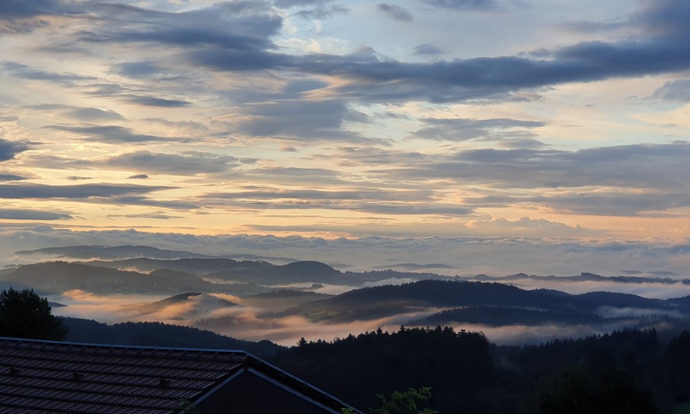 Ferienhaus Solla Bayerischer Wald Gartenblick