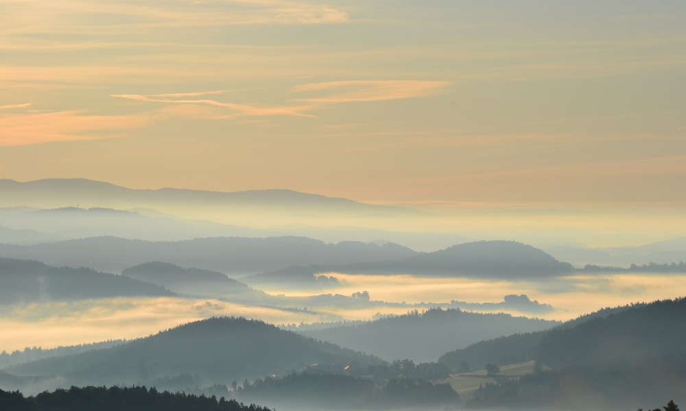 Ferienhaus Solla Bayerischer Wald Gartenblick