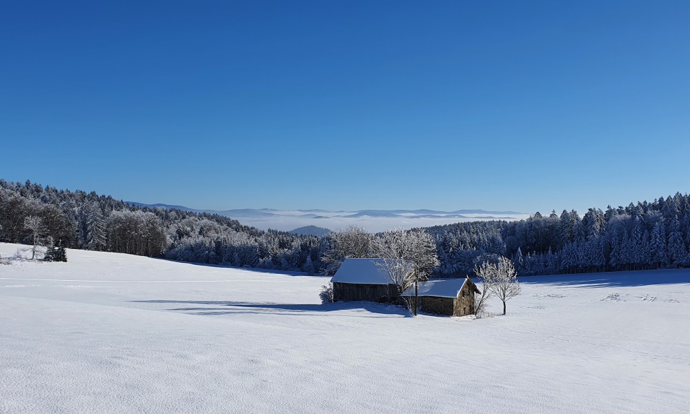 Ferienhaus Solla Bayerischer Wald Winterlandschaft