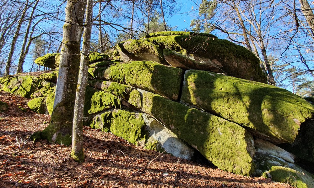 Ferienhaus Solla Bayerischer Wald Granitblöcke