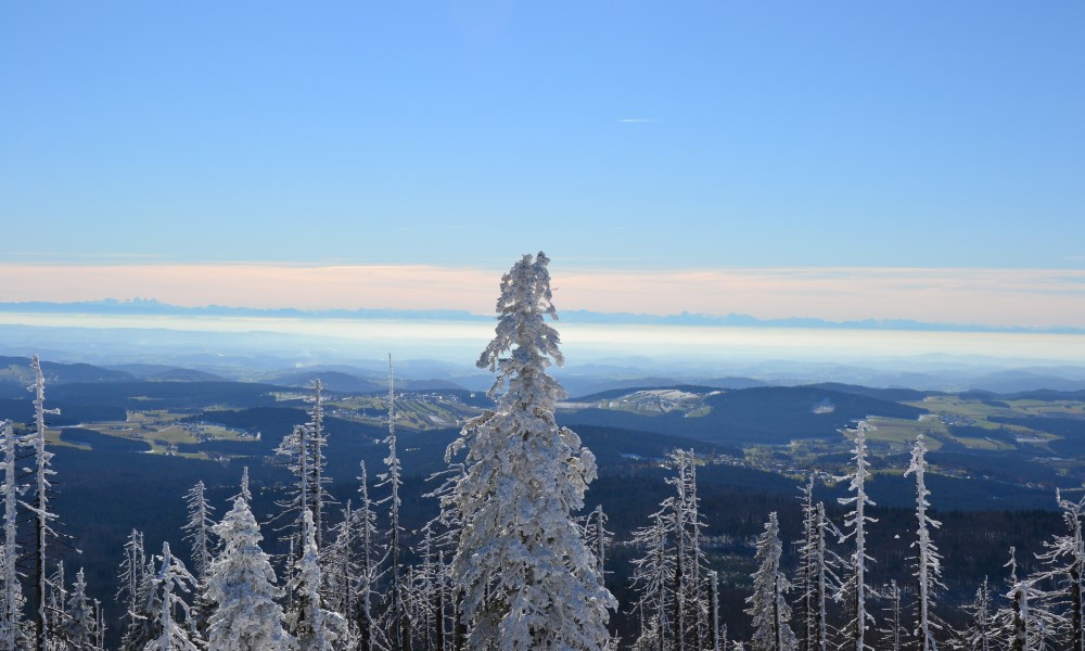 Ferienhaus Solla Bayerischer Wald Alpenblick