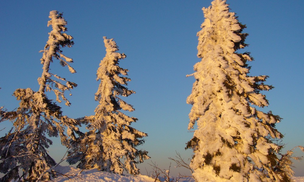 Ferienhaus Solla Bayerischer Wald Schneemantschkerl