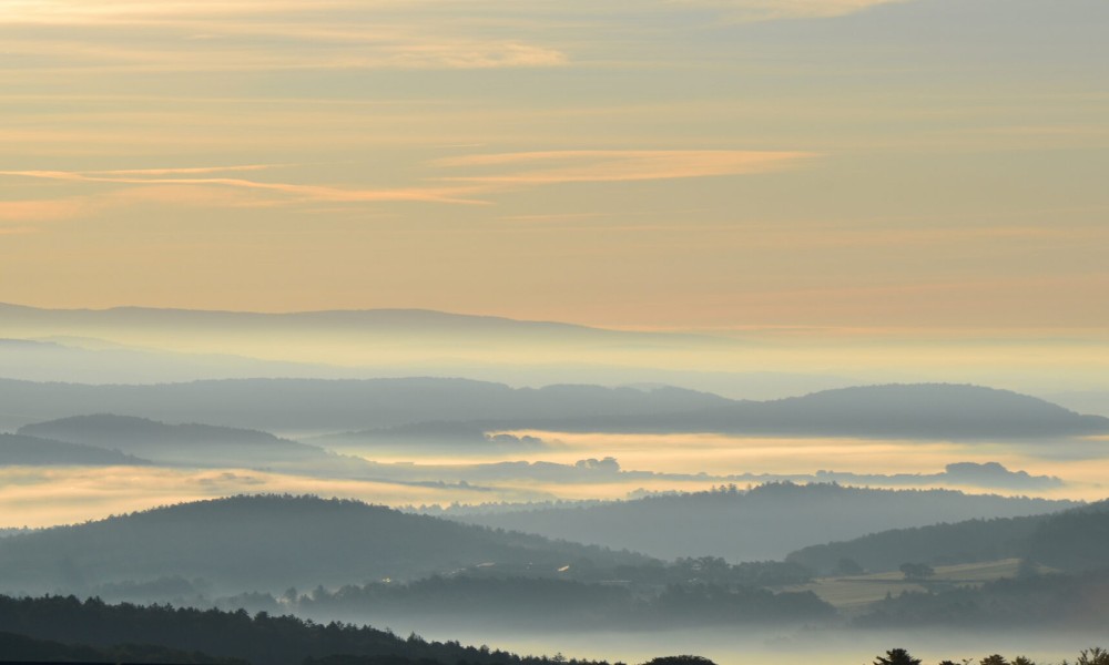Ferienhaus Solla Bayerischer Wald Gartenblick
