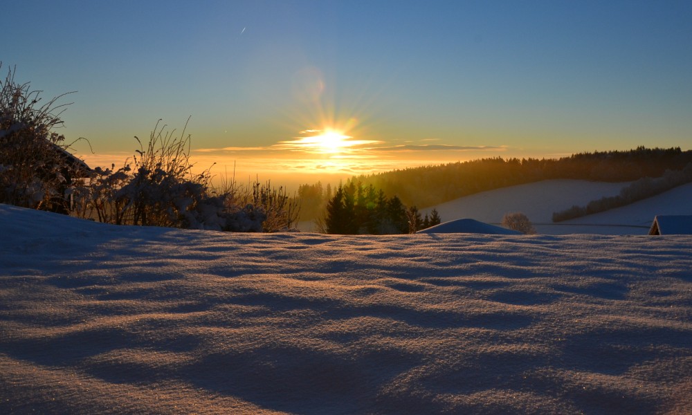 Ferienhaus Solla Bayerischer Wald Morgendämmerung im Garten