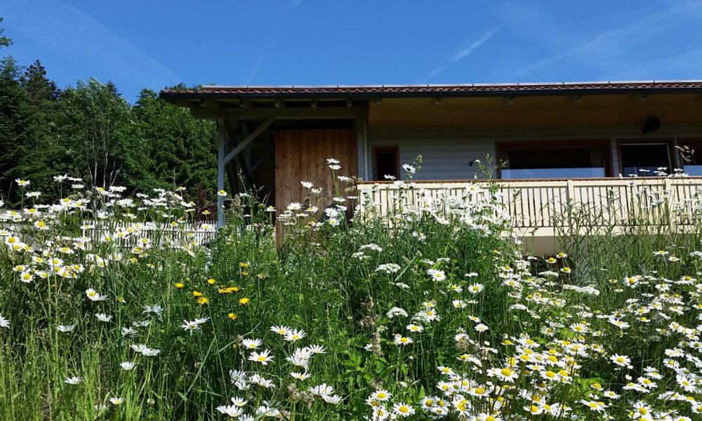Ferienhaus Solla Bayerischer Wald